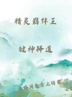 精靈羈絆王