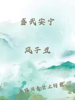 盛武安寧